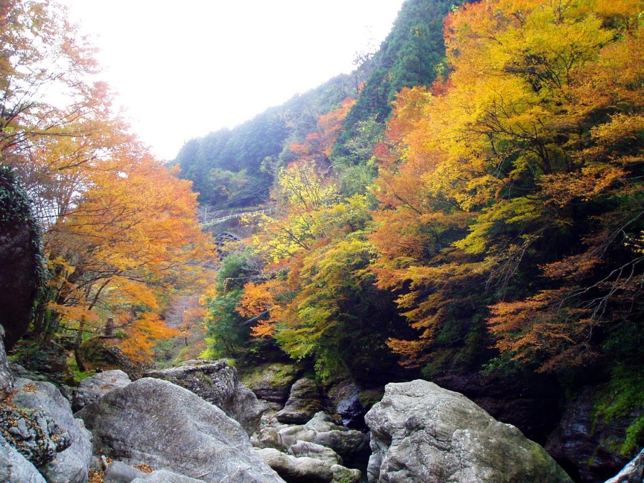 Nature Resort In Niyodo Niyodogawa Екстер'єр фото