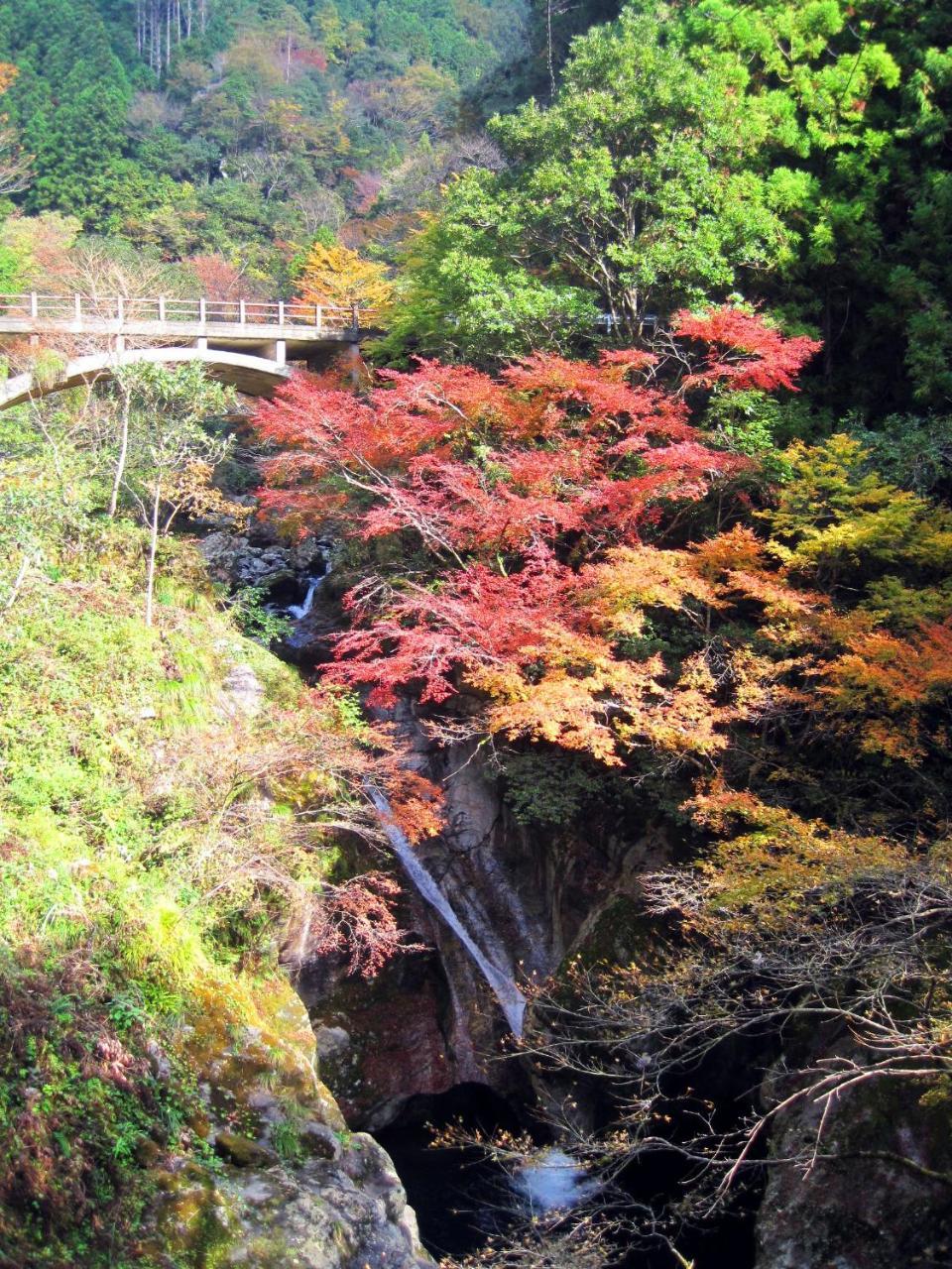 Nature Resort In Niyodo Niyodogawa Екстер'єр фото